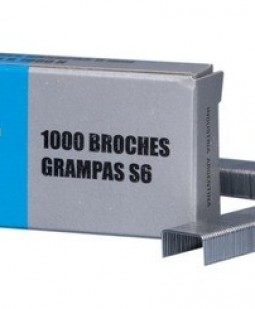 Broche grampa bulit s6 x1000